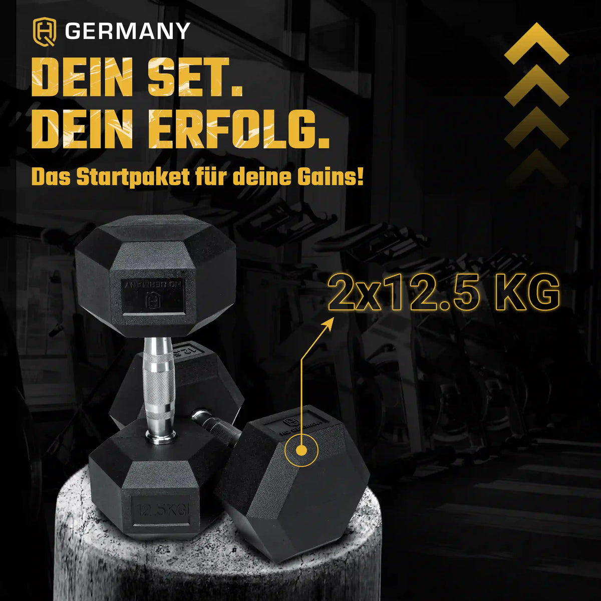 Hexagon Hantel Paar | 2.5 - 37.5kg