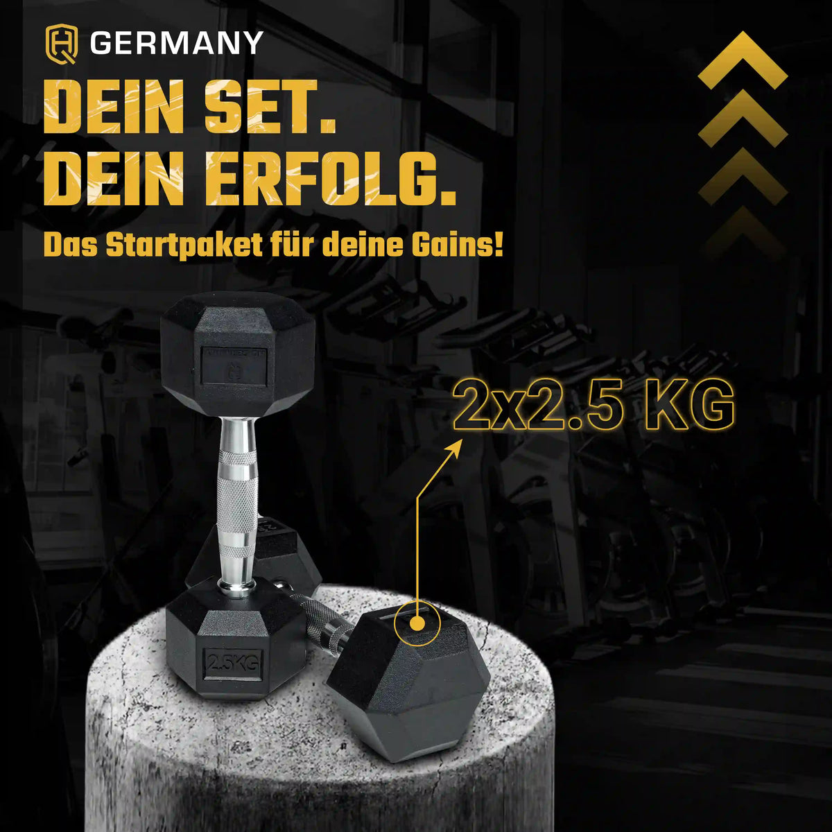 Hexagon Hantel Paar | 2.5 - 37.5kg