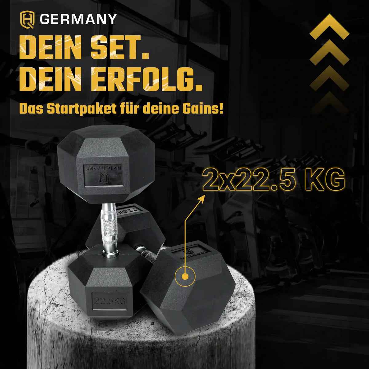 Hexagon Hantel Paar | 2.5 - 37.5kg