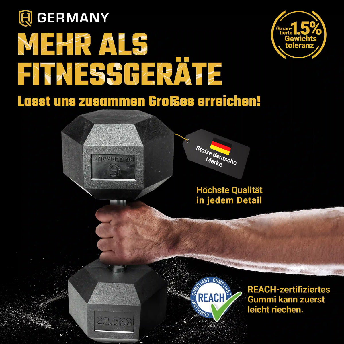Hexagon Hantel Paar | 2.5 - 37.5kg