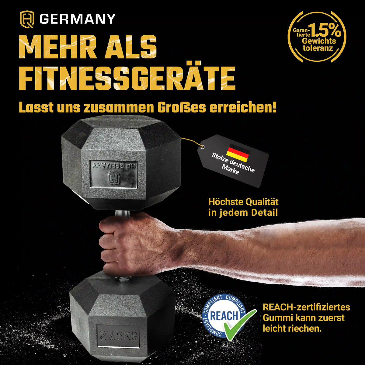 Hexagon Hantel Paar | 2.5 - 37.5kg