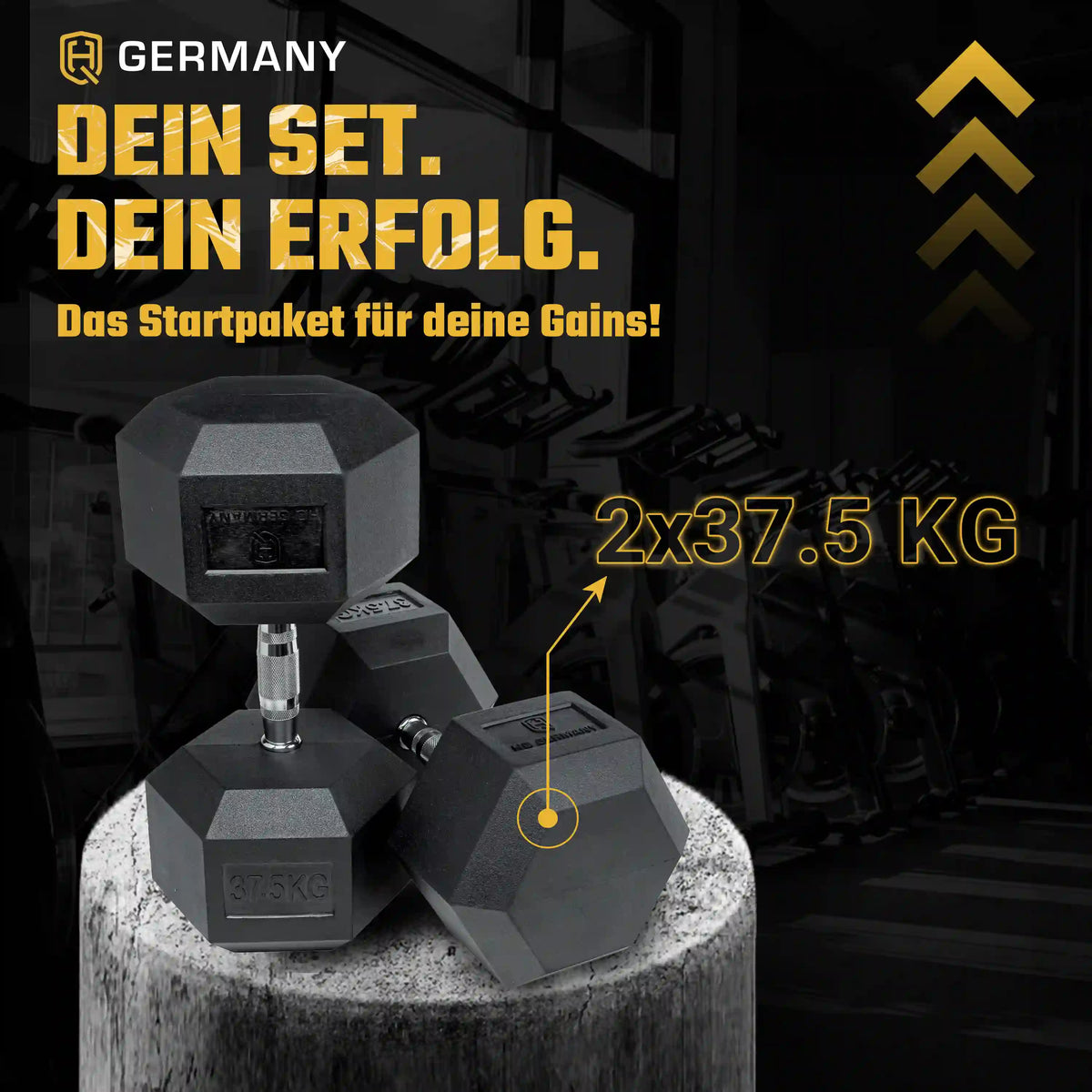 Hexagon Hantel Paar | 2.5 - 37.5kg