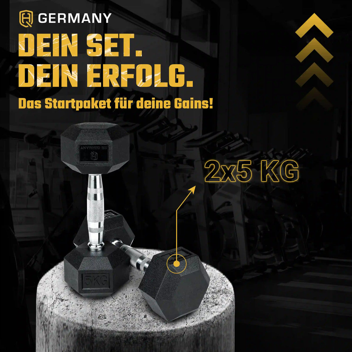 Hexagon Hantel Paar | 2.5 - 37.5kg