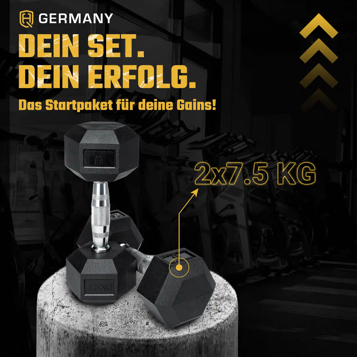 Hexagon Hantel Paar | 2.5 - 37.5kg