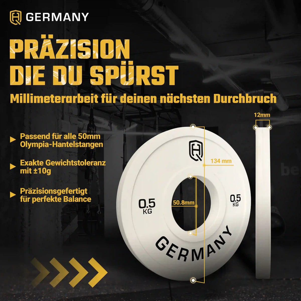 Fractional Change Plates 0.5KG - 2.5KG | Paar