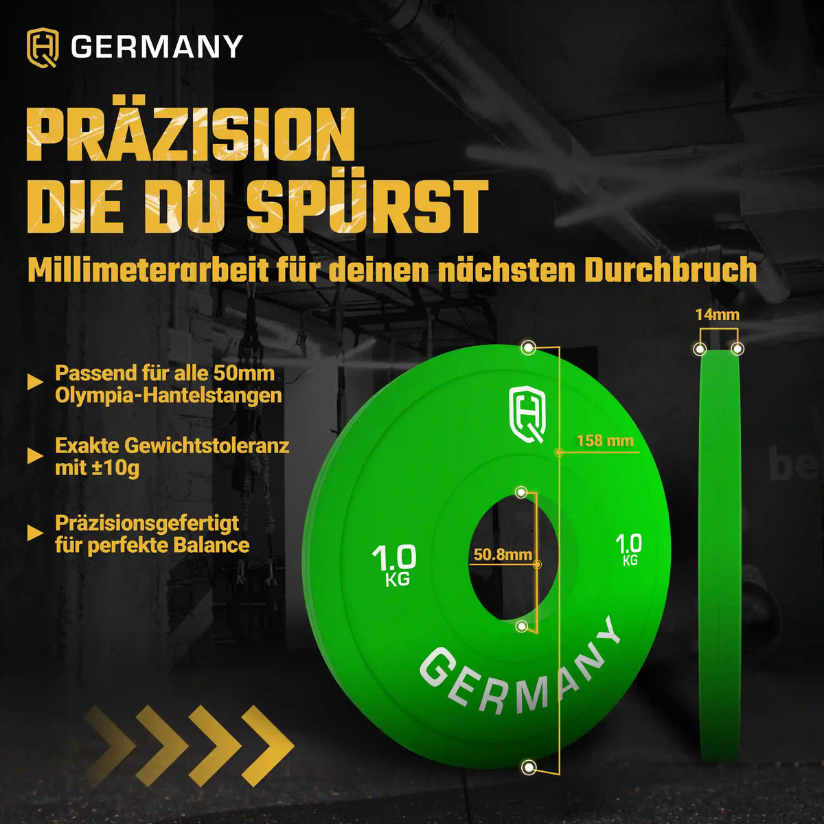 Fractional Change Plates 0.5KG - 2.5KG | Paar